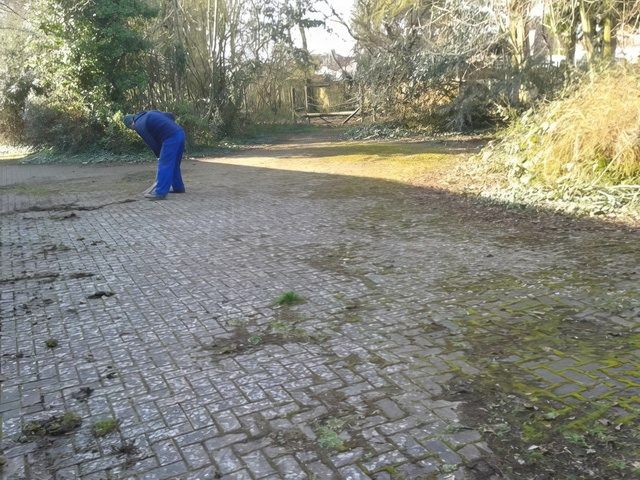 Patio Driveway Before Cleaning